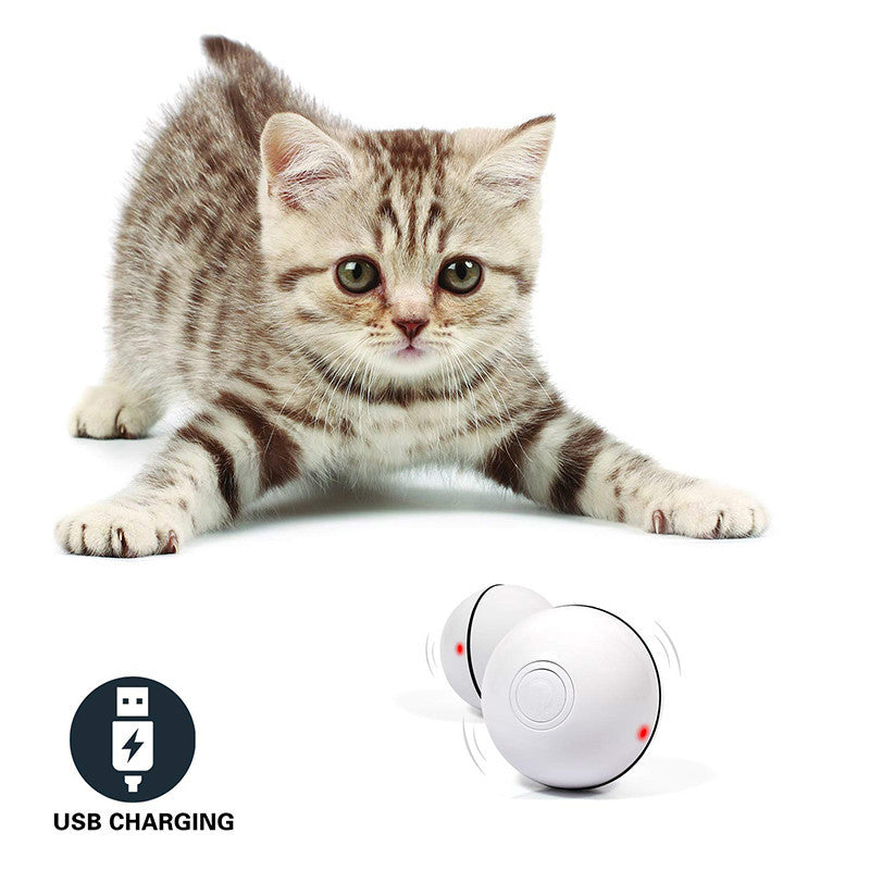 LED Laser Electronic Rolling Toy – Interactive 360° Smart Cat Ball with Lights & Catnip