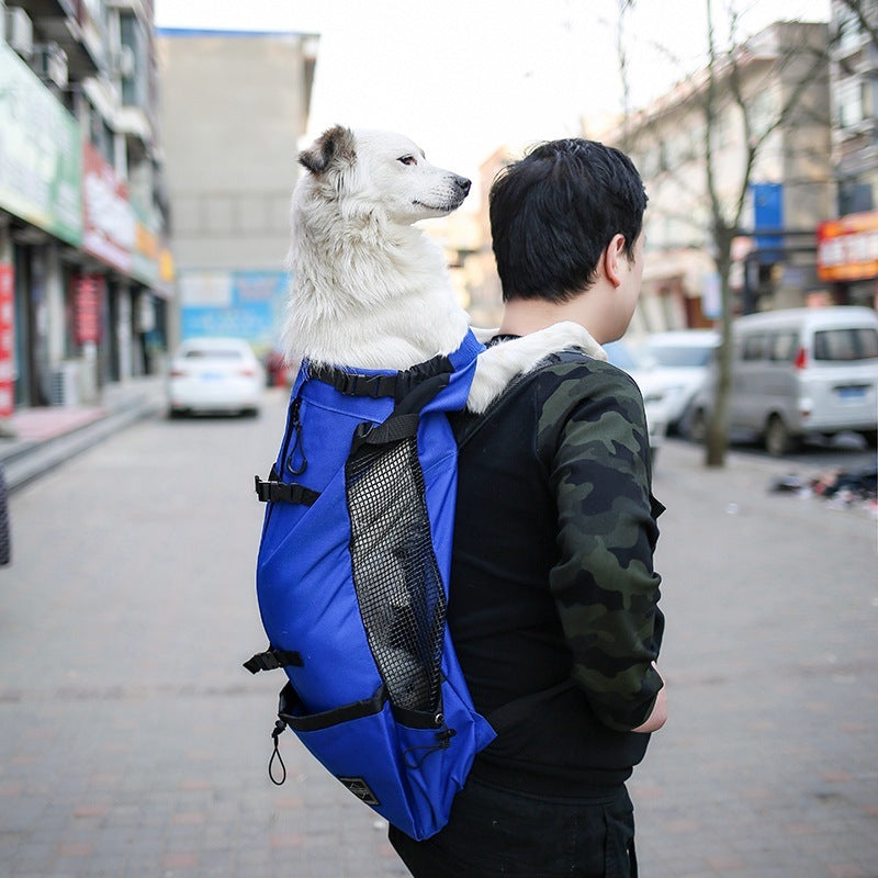 Pet Double Shoulder Portable BackpacK