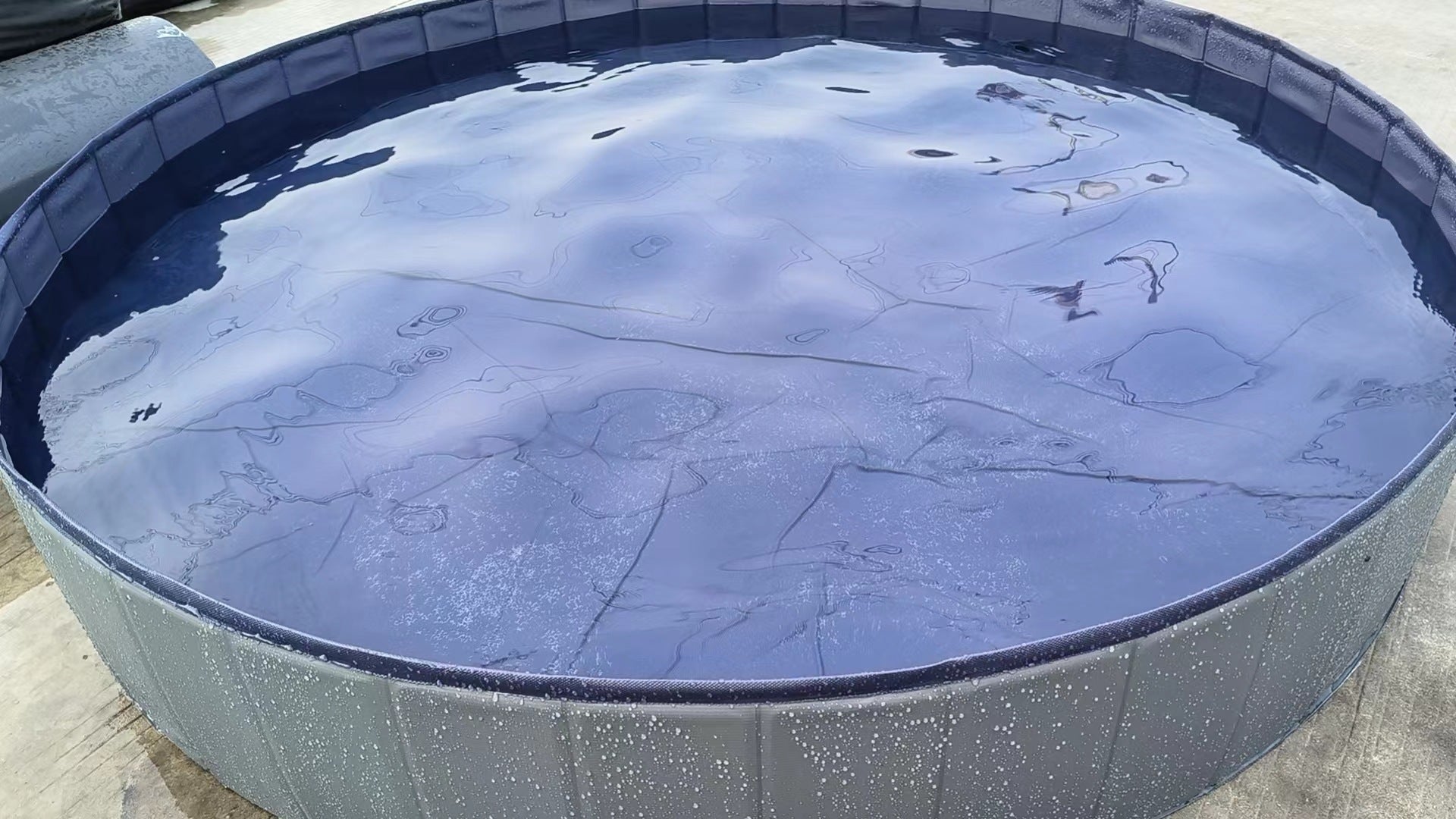 Pet Foldable Swimming Pool – Extra-Durable 0.5mm PVC, Anti-Slip, Quick-Drain, Portable Dog Pool (XXS–XL / 50×8cm – 80×30cm)